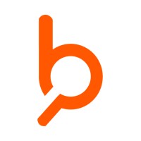 Broca Consultancy Services logo - Similar company to Soul It Ltd