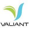 Valiant Alucast Technology Pvt. Ltd. logo - Similar company to Imperiall Technoforge Private Limited
