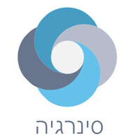 Synergy Israel logo - Similar company to Synergy Capital