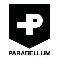 Parabellum Srl logo - Similar company to Metiorplan Consulting