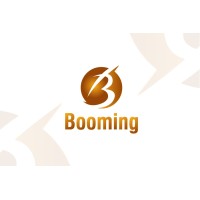 Booming4Marketing logo - Similar company to Let'S Linked