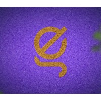 Global Ecom Hub Islamabad logo - Similar company to Ecom Excellent | E-Commerce Agency
