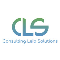 Consulting Leib Solutions logo - Similar company to Adm Cloud Inc