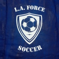 L.A. Force Soccer logo - Similar company to Irvine Zeta Fc