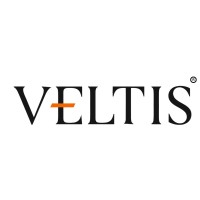 Veltis Group logo - Similar company to Veltigroup Consulting Ltd