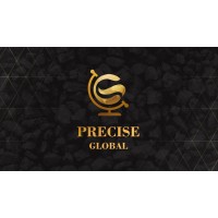 Precise global private limited logo - Similar company to Precise Global Services