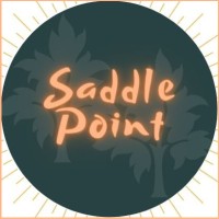 Saddle Point® logo - Similar company to Saddle Point Technologies Pvt Ltd