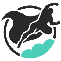 Website Heroes 🚀 - DIE WP Business Community logo - Similar company to Values Centered Innovation Inc