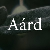 Aárd logo - Similar company to Abstract.