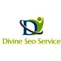 Divine Seo Service logo - Similar company to Freelancer Usman Shipo