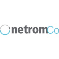 NetRom Co. logo - Similar company to Breachzero
