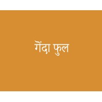 Genda Phool logo - Similar company to Gur Naal Ishq