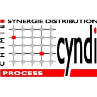 CYNDI Process logo - Similar company to Provak Aps