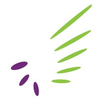 Tanzania Media Foundation logo - Similar company to Onastories Group