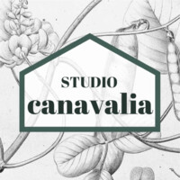 Studio Canavalia logo - Similar company to Lear Studio Architects
