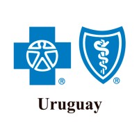 BlueCross & BlueShield de Uruguay logo - Similar company to Talks+40