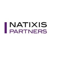 Natixis Partners logo - Similar company to More Technologies, Inc.