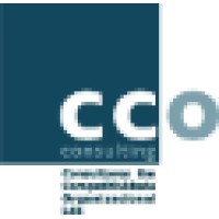 CCO Consulting em Competitividade Organizacional, Ldª logo - Similar company to Runalong.Se