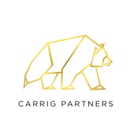 Carrig Partners Limited logo - Similar company to Volsung