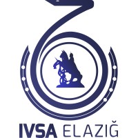 IVSA ELAZIG logo - Similar company to Studiogym