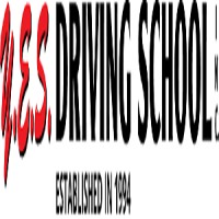 Driving School Classes Brooklyn logo - Similar company to Hernandez Driving School
