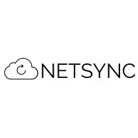 NETSYNC logo - Similar company to Computing System Innovations