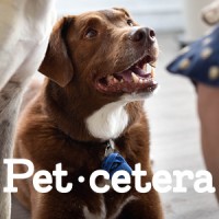 Pet Project Media