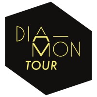 DiamonTour logo - Similar company to Echo System