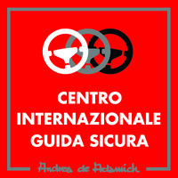 Centro Internazionale Guida Sicura logo - Similar company to Axd Link