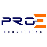 Pro E Consulting logo - Similar company to Proes - Profund