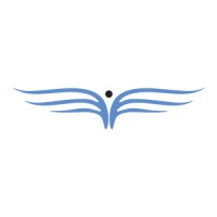 Frenchidrone logo - Similar company to Agence Komaxis