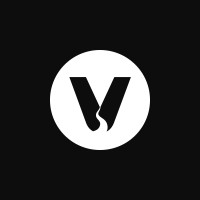 VeerOne logo - Similar company to Bnn