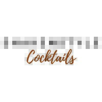 SHAKENSTYLE logo - Similar company to Cocktail Creators