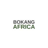 Bokang Africa - Specialist Forensic Investigators logo - Similar company to Fuse Forensics And Security
