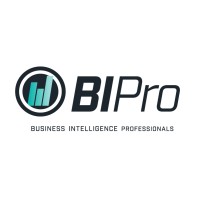 BI Pro AS logo - Similar company to Smartdok As