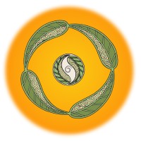 Ngarara Willim logo - Similar company to Switchboard Victoria
