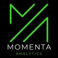 Momenta Analytics logo - Similar company to Rajal Export