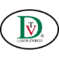 Dvt Labs