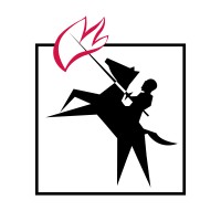Angus Fire Limited logo - Similar company to Tba Protective Solutions