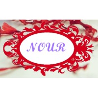 Nour Saffron logo - Similar company to Red Saffron Milano