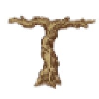 Vineyard Neurosurgical