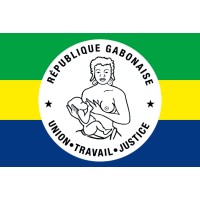 Consulat Honoraire Du Gabon a Izmir logo - Similar company to Mita Health Group
