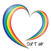 SOFT UK logo - Similar company to Lit The Light
