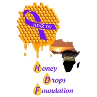 HONEYDROPS FOUNDATION / HONEYDROPS FOUNDATION AFRICA logo - Similar company to Foundation For Inspiring Victims Of Abuse - Iva