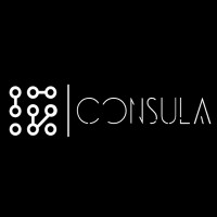 Consula logo - Similar company to Snype - Big Data Solution For Telecom & Media