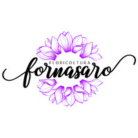 Floricoltura Fornasaro logo - Similar company to Fondo Giglio