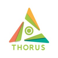 THORUS logo - Similar company to Deblocking