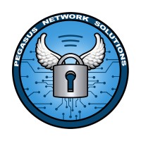 Pegasus Network Solutions logo - Similar company to Shiftstate Security