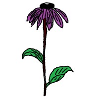 Edens Restoration