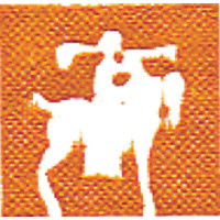 The Jones Institute logo - Similar company to Jonathan Carver Moore
